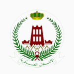 ( 10 ) مشاريح