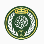 ( 10 ) المشاريع